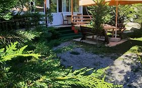 Mikel Center Theth Guesthouse